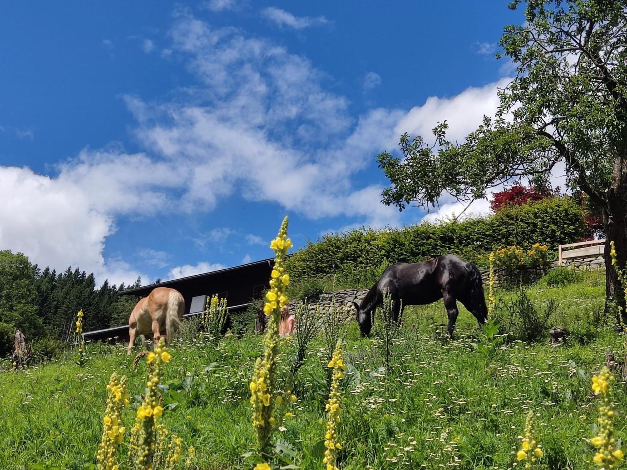Appartement Waldhof Флатах Екстериор снимка